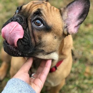 Meet your Posher, Lovell